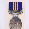 ERII Efficient service Medal