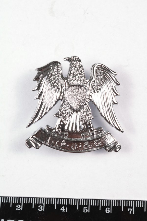 United Arab emirates police badge