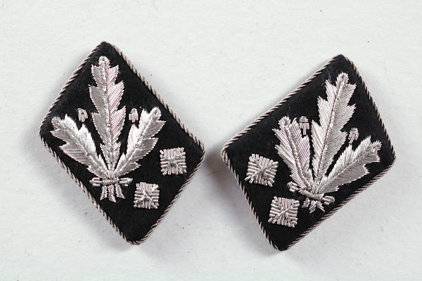 SS collar tab rank insignia