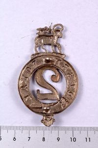 Queens royal regiment 2nd foot badge